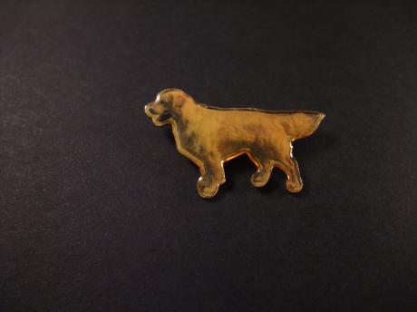Nova Scotia duck tolling retriever, vrolijke hond